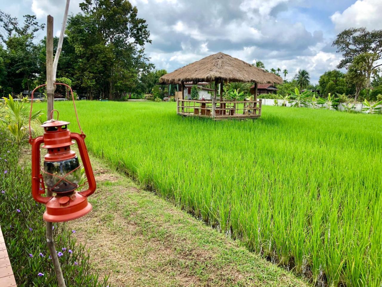 Baan Thung Home Stay ปราสาท ภายนอก รูปภาพ